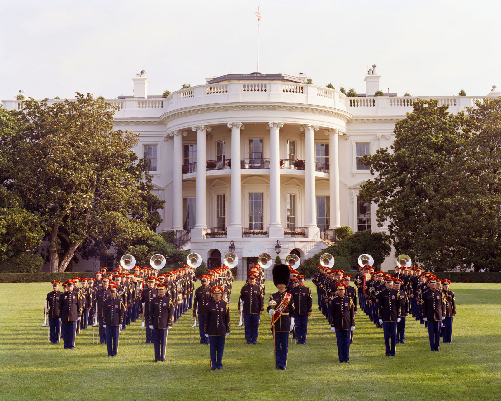 army